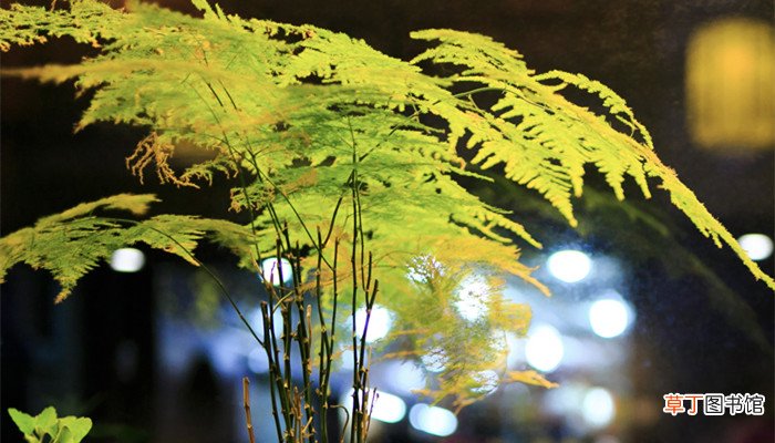 木屑竹头文言文翻译及注释 木屑竹头翻译和解释