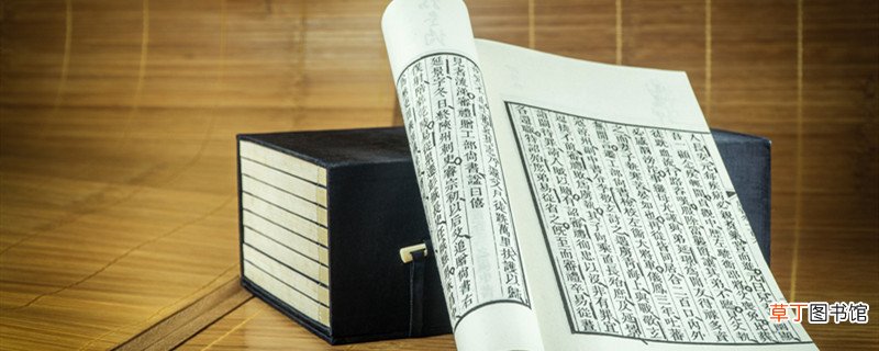 蜘蛛结网文言文翻译 蜘蛛结网文言文翻译是什么