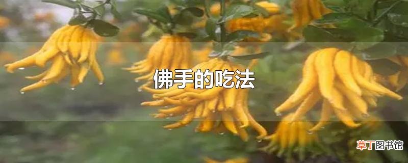 佛手的吃法