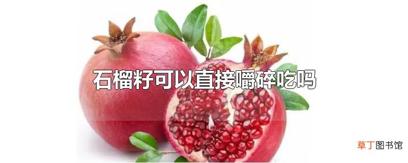 石榴籽可以直接嚼碎吃吗