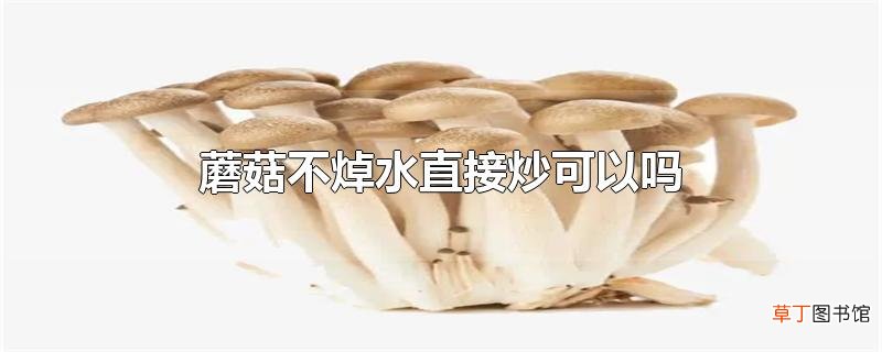 蘑菇不焯水直接炒可以吗