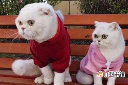 抖音主播怎么拿提成 新手从0开始做直播的方法
