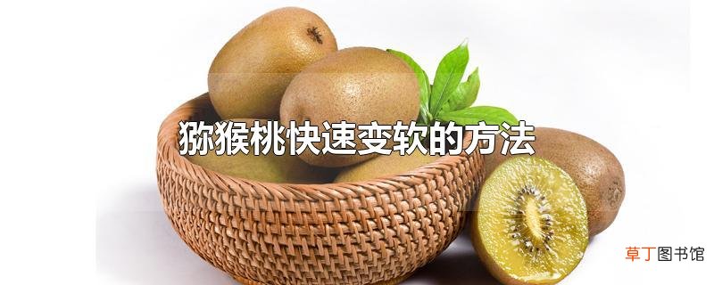 猕猴桃快速变软的方法