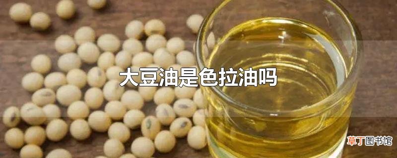 大豆油是色拉油吗
