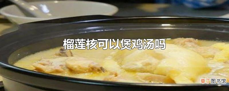 榴莲核可以煲鸡汤吗
