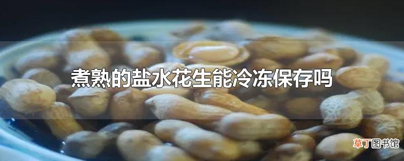 煮熟的盐水花生能冷冻保存吗