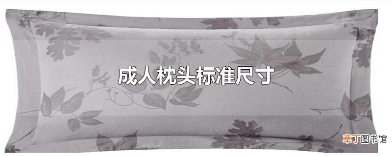 成人枕头标准尺寸
