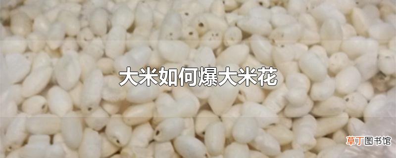 大米怎么爆大米花