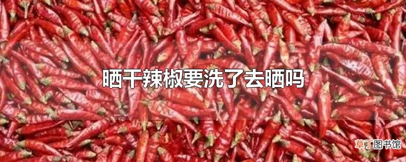 晒干辣椒要洗了去晒吗