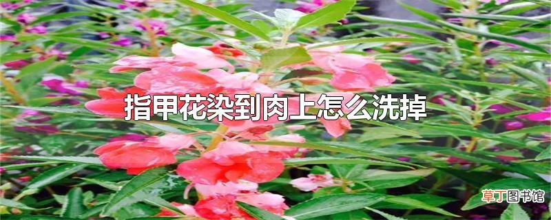 指甲花染到肉上怎么洗掉