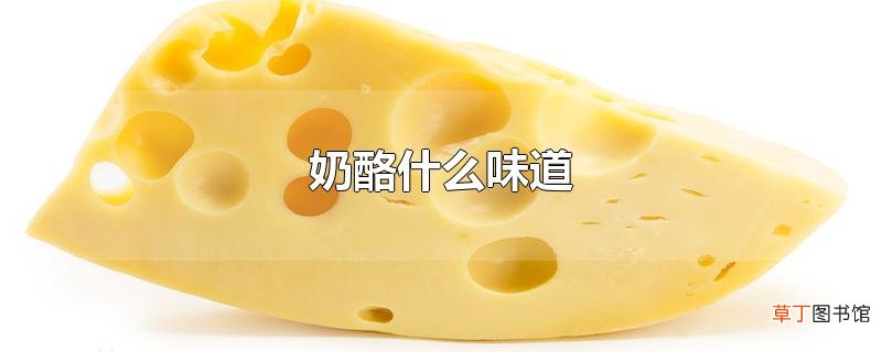 奶酪什么味道