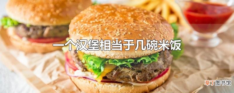 一个汉堡相当于几碗米饭
