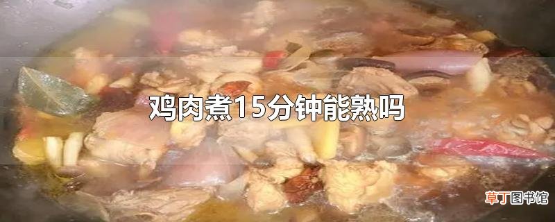 鸡肉煮15分钟能熟吗