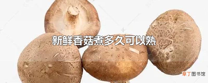 新鲜香菇煮多久可以熟