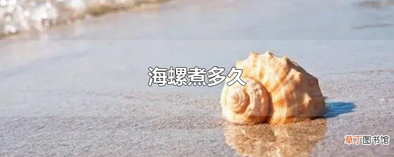 海螺煮多久