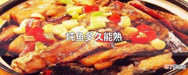 炖鱼多久能熟