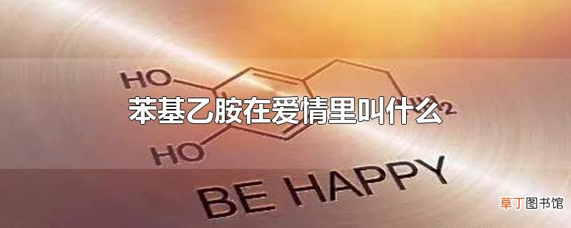 苯基乙胺在爱情里叫什么