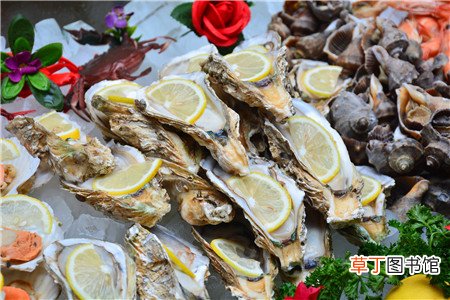 慢性咽炎可以吃生蚝吗