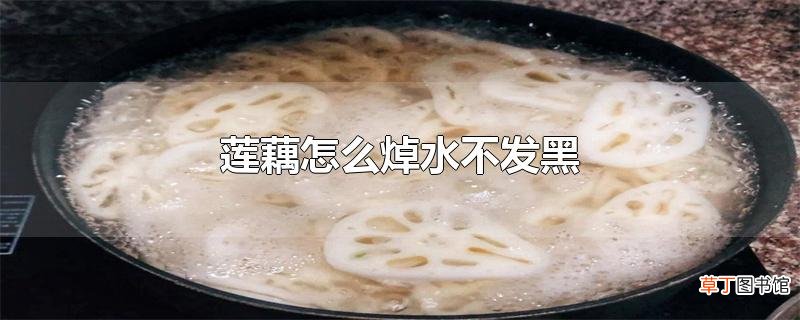 莲藕怎么焯水不发黑