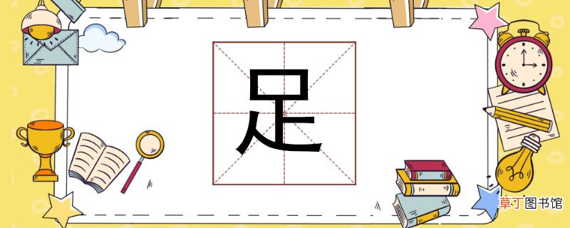 足组词组什么足字组词什么 足组词组什么