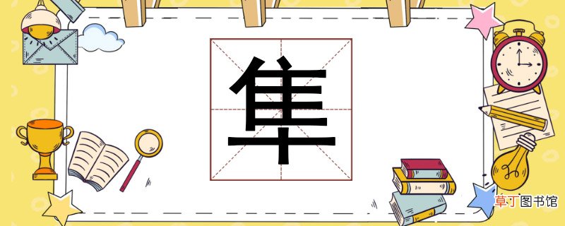 隼怎么读 隼怎么读组词