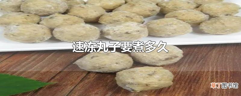速冻丸子要煮多久