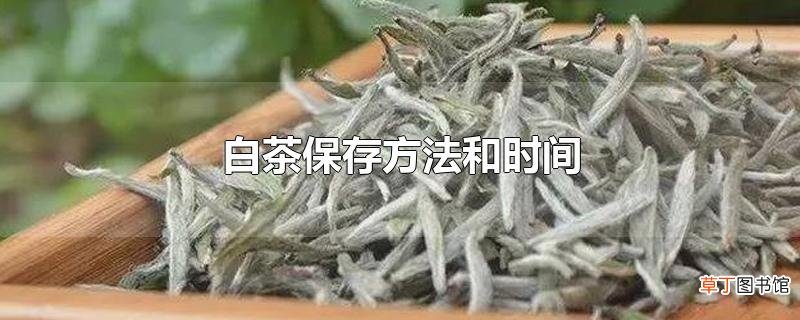 白茶保存方法和时间