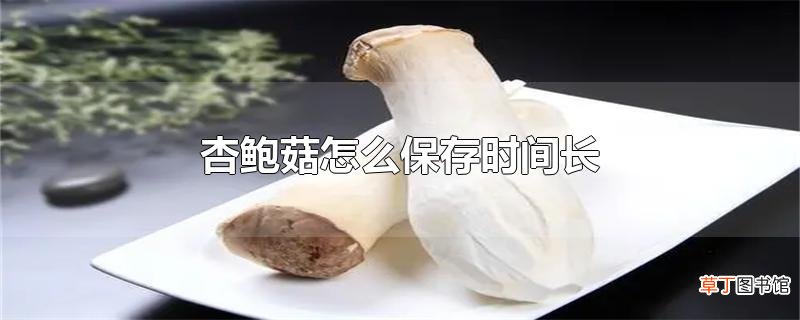 杏鲍菇怎么保存时间长