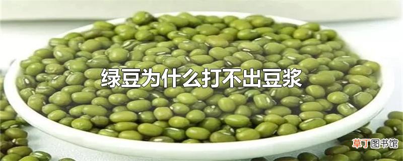 绿豆为什么打不出豆浆