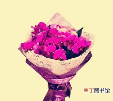 结婚一年送什么花好 结婚十五年送什么花