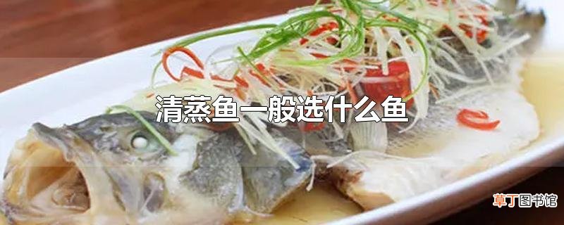 清蒸鱼一般选什么鱼