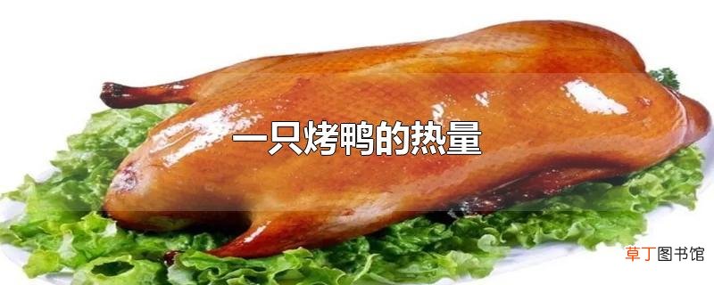 一只烤鸭的热量