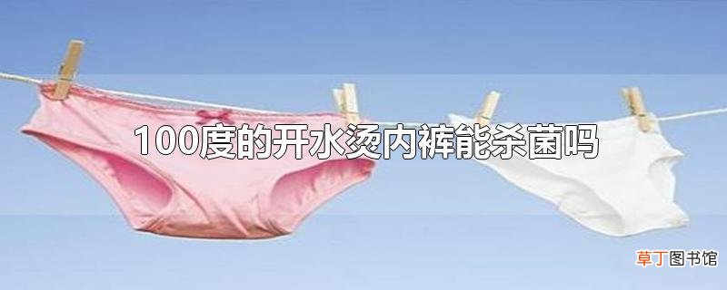 100度的开水烫内裤能杀菌吗