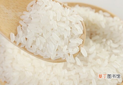 大米生虫的处理方法-预防大米生虫的方法
