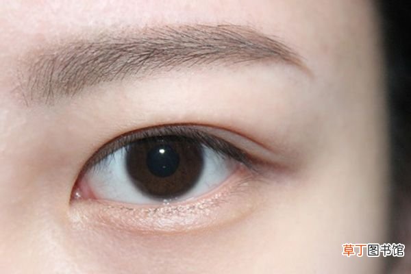 内双眼皮如何画眼妆 内双眼皮化妆技巧