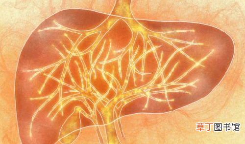 肝火旺盛的症状有哪些？气血虚肝火旺盛的表现症状介绍