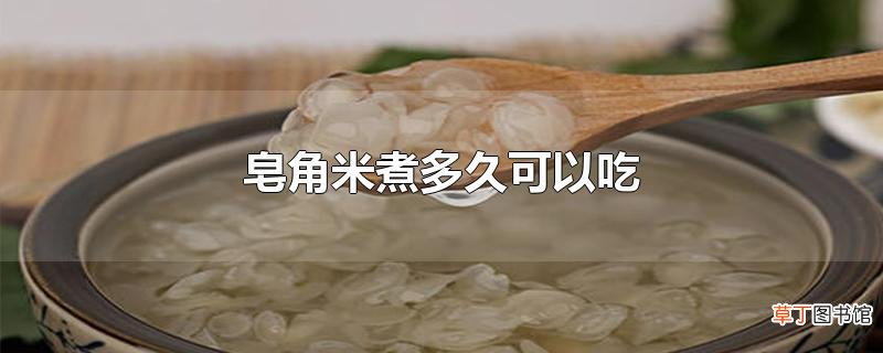 皂角米煮多久可以吃
