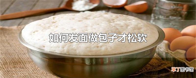 怎么发面做包子才松软