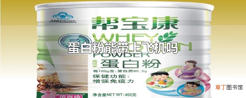 蛋白粉能带上飞机吗