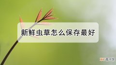 冬虫夏草怎么保存