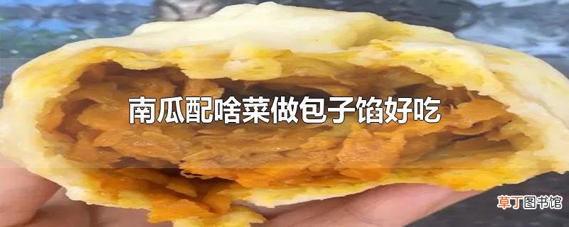 南瓜配啥菜做包子馅好吃
