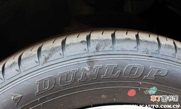 邓禄普与玛吉斯哪个好？邓禄普好还是玛吉斯好