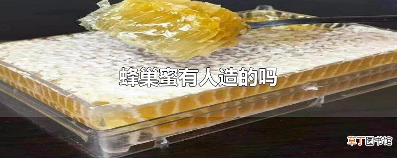 蜂巢蜜有人造的吗