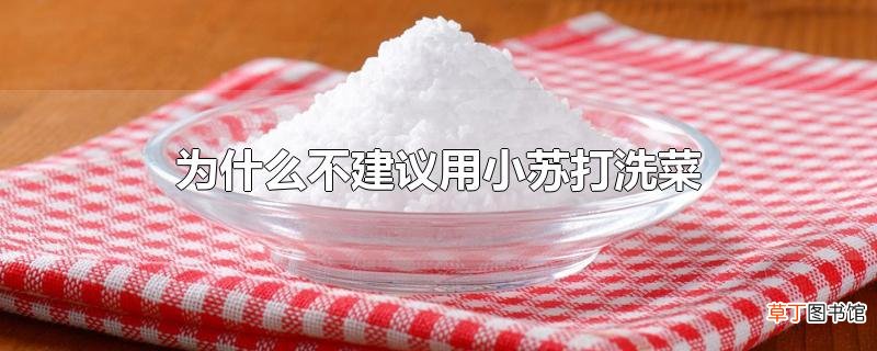 为什么不建议用小苏打洗菜