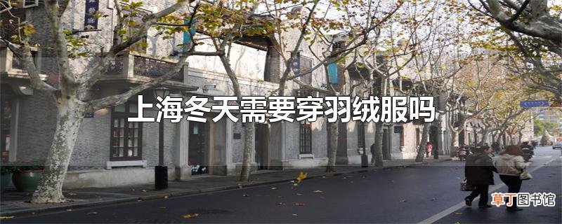 上海冬天需要穿羽绒服吗