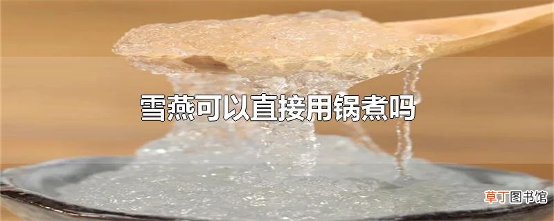 雪燕可以直接用锅煮吗