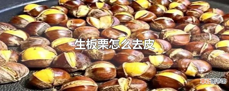 生板栗怎么去皮