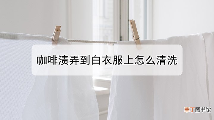 白衣服上的咖啡渍怎么洗