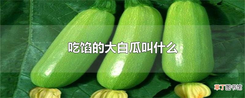 吃馅的大白瓜叫什么