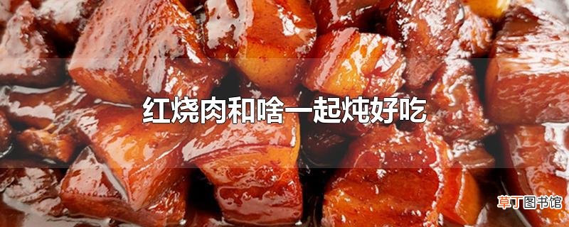 红烧肉和啥一起炖好吃